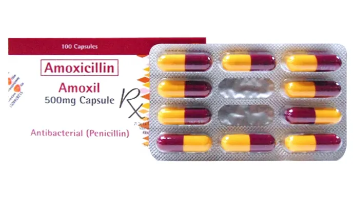 Amoxil – Antibiotics